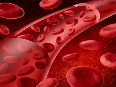 Red blood cells flowing in a vein and artery medical symbol